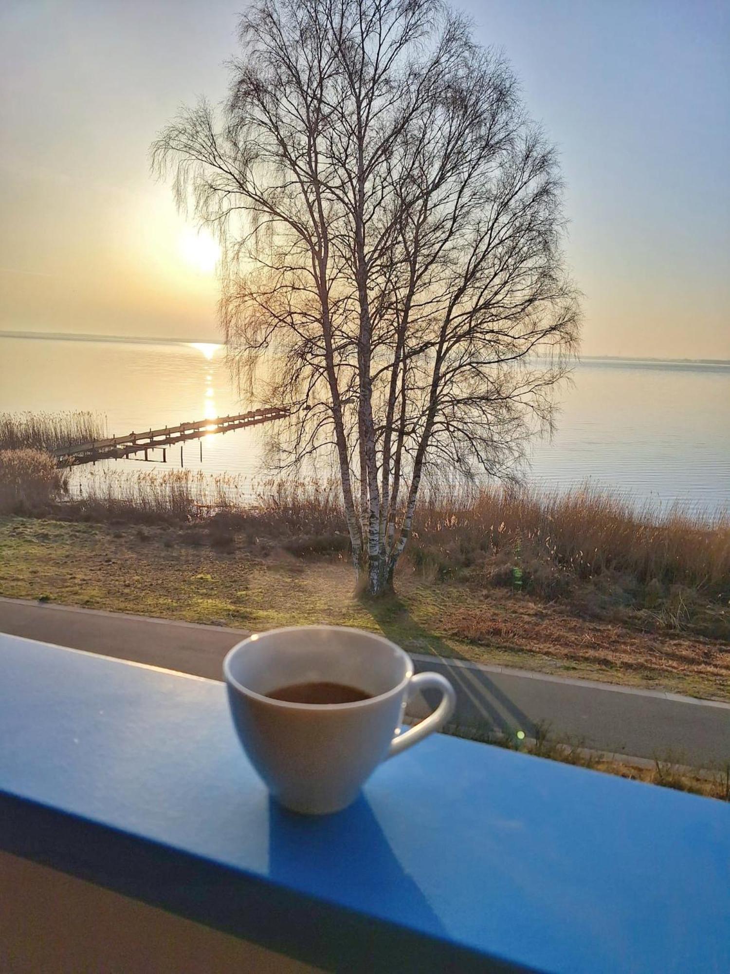 Ferienwohnung Sunrise - Mit Direktem Blick Auf Das Steinhuder Meer - Mardorf  Dış mekan fotoğraf